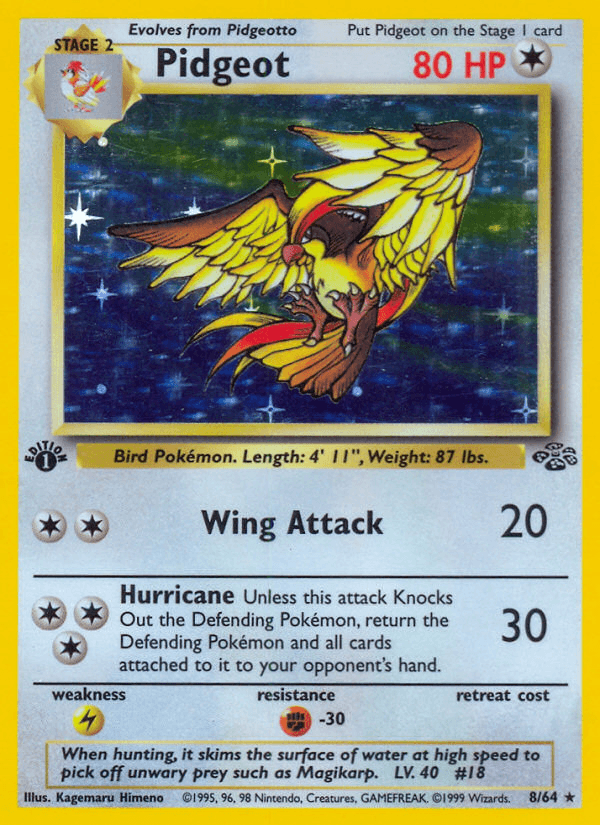 Pidgeot Jungle