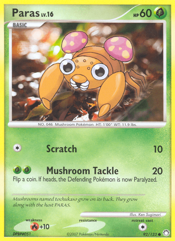 Paras Mysterious Treasures