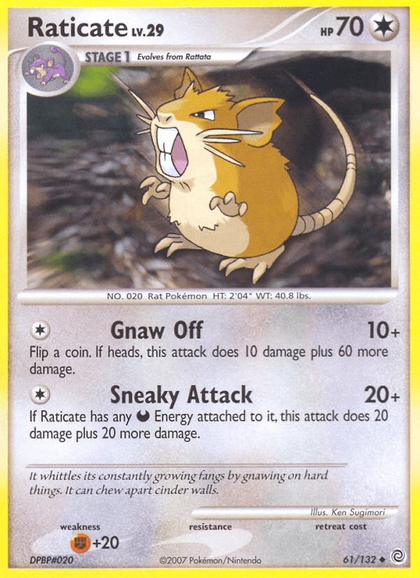 Raticate Secret Wonders