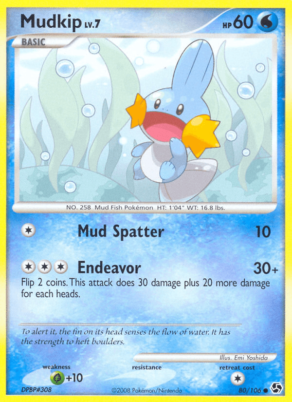 Mudkip Great Encounters