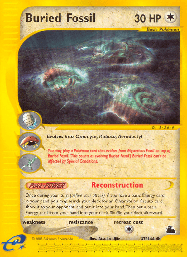 Buried Fossil Skyridge