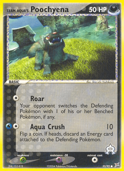 Team Aqua's Poochyena Team Magma vs Team Aqua