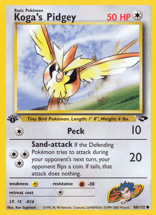 Koga's Pidgey Gym Challenge