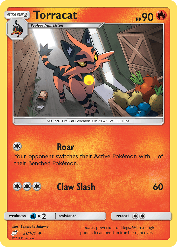 Torracat Team Up