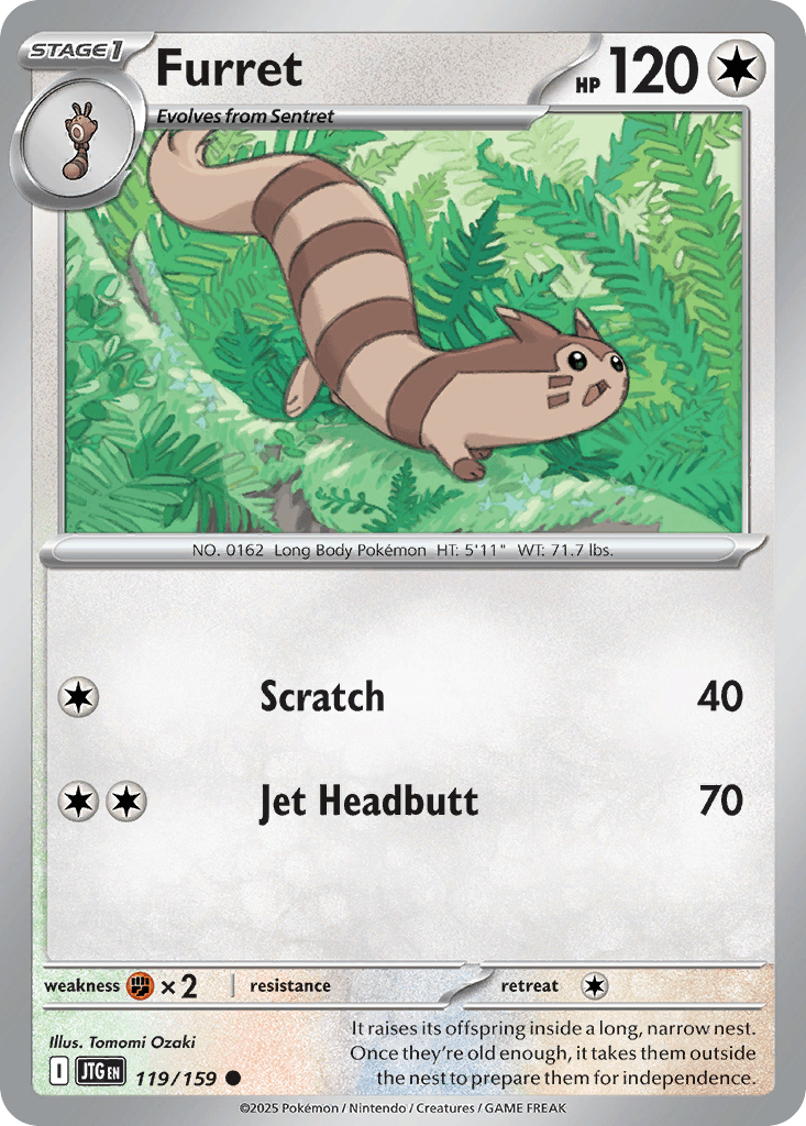 Furret Journey Together