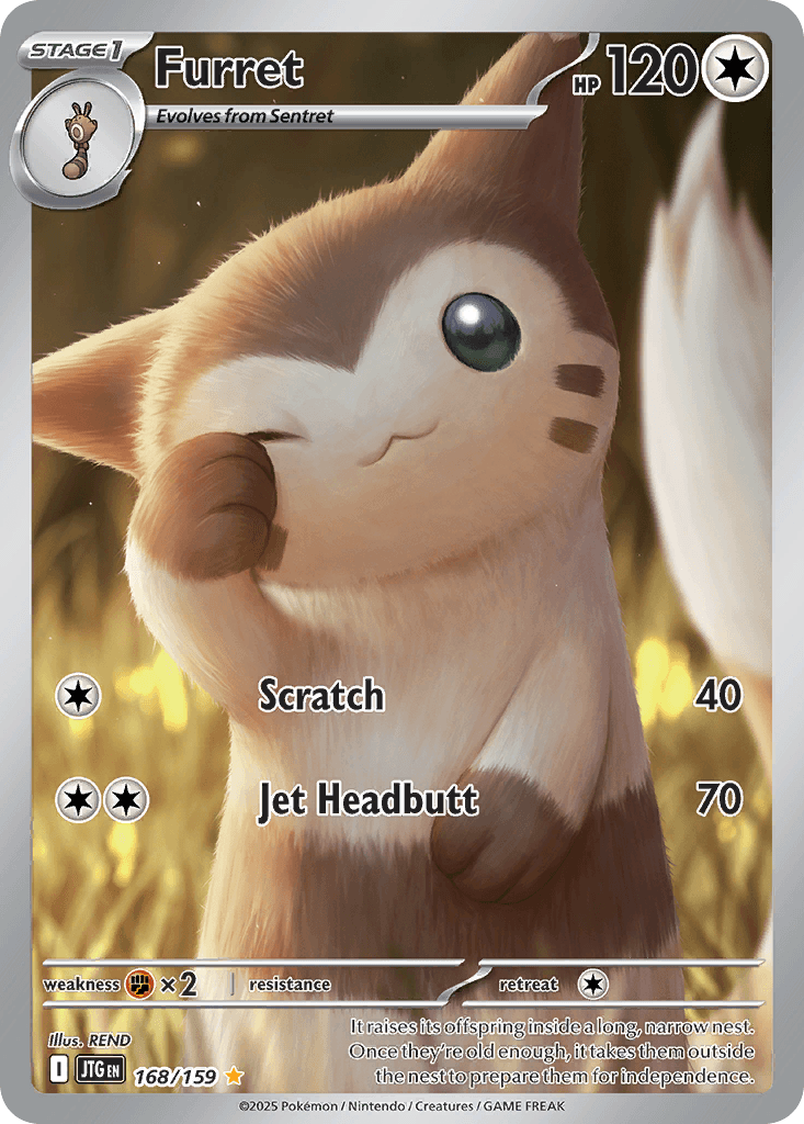 Furret Journey Together