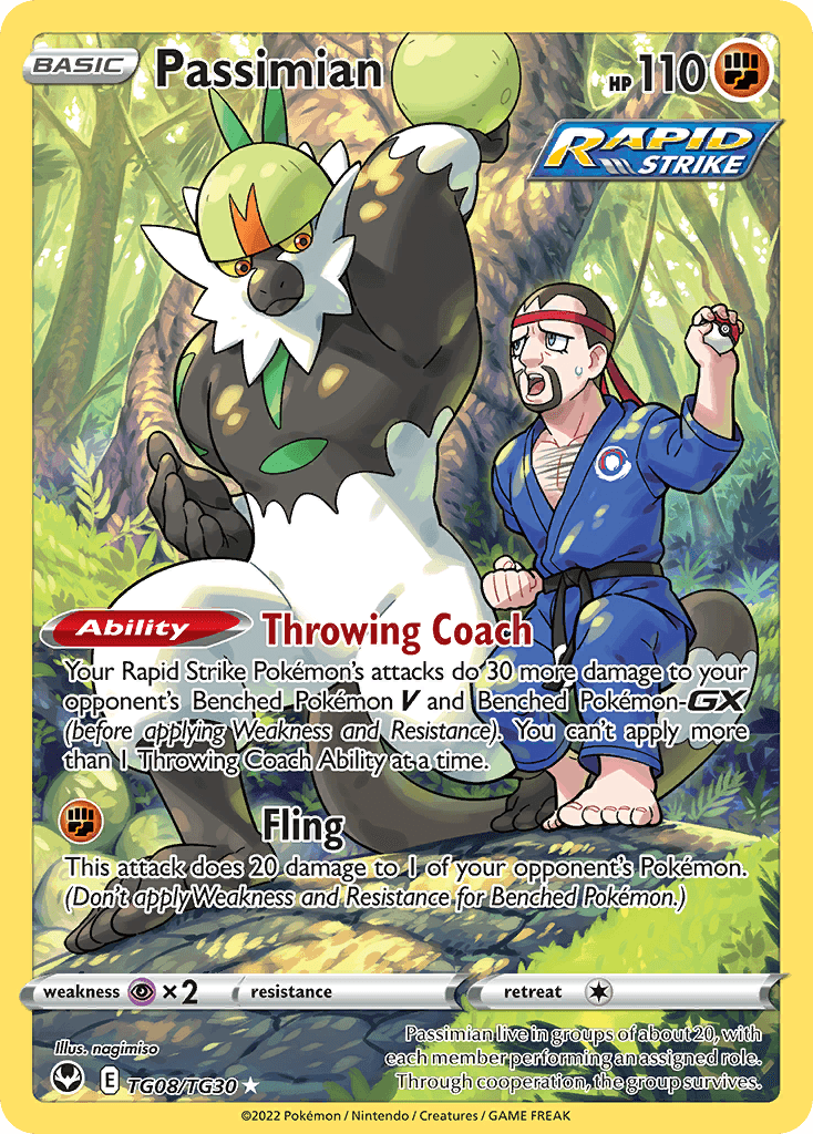 Passimian Silver Tempest Trainer Gallery
