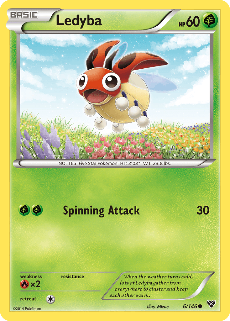 Ledyba XY