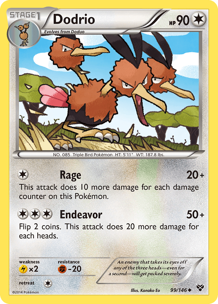 Dodrio XY