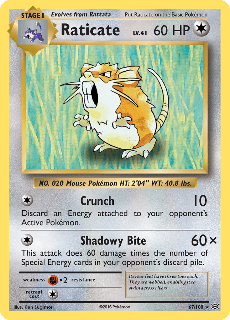 Raticate Evolutions