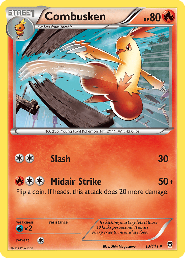 Combusken Furious Fists