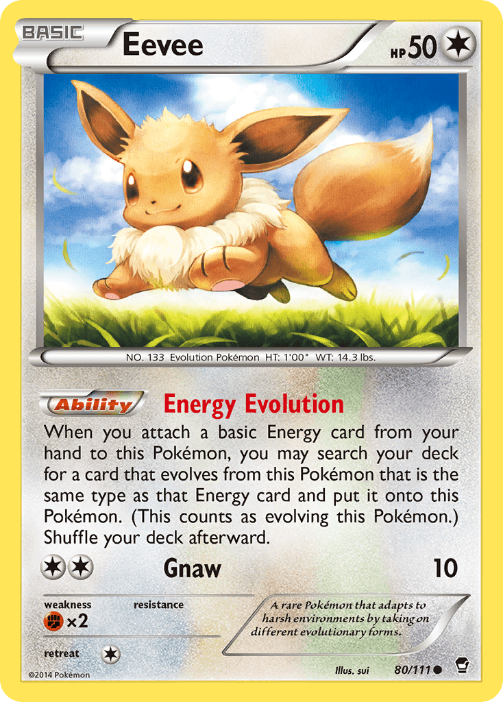 Eevee Furious Fists