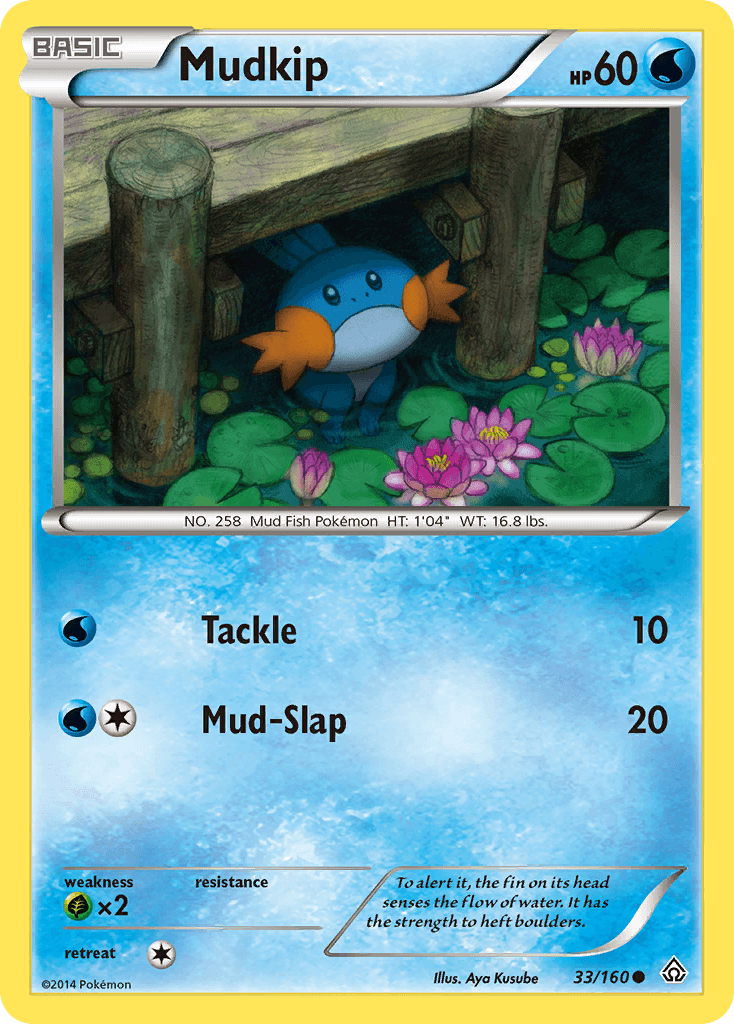 Mudkip Primal Clash