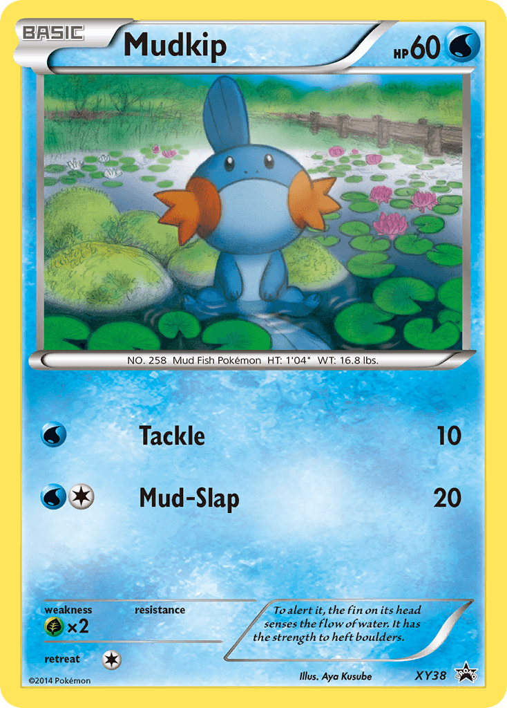 Mudkip XY Black Star Promos