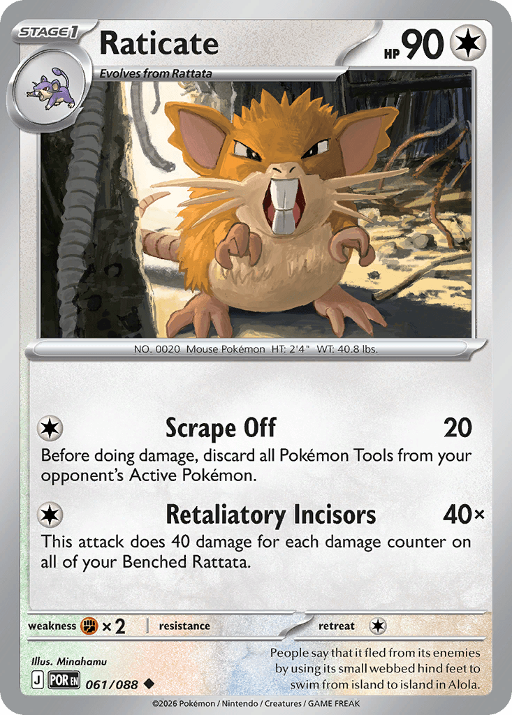 Raticate Perfect Order