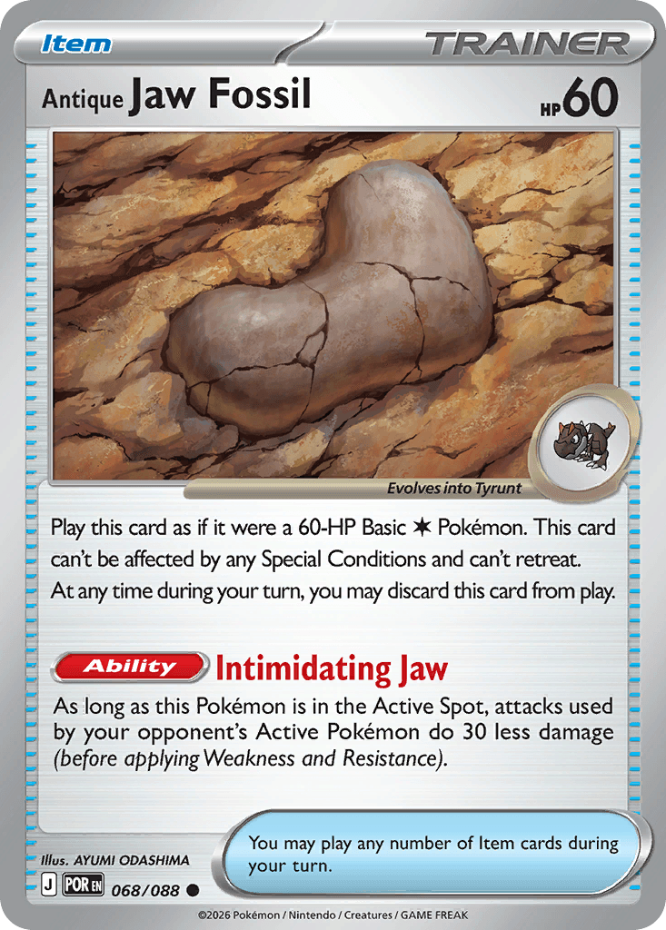 Antique Jaw Fossil Perfect Order