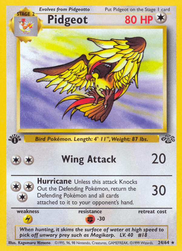 Pidgeot Jungle