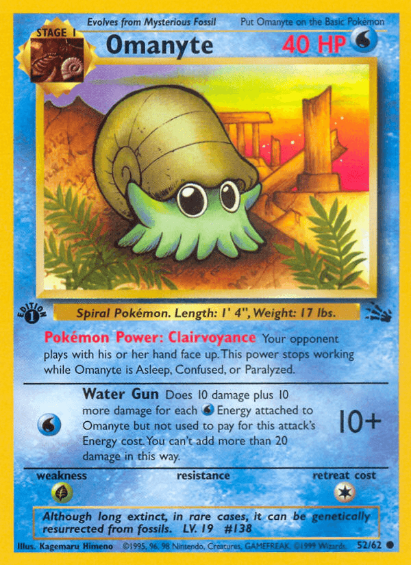 Omanyte Fossil