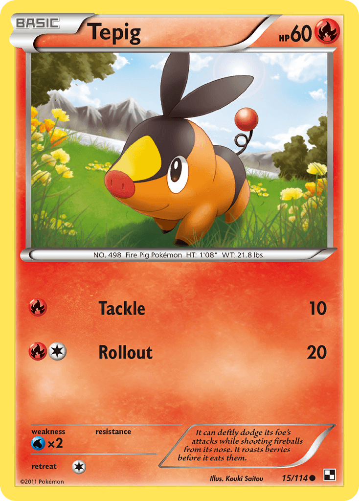 Tepig Black & White