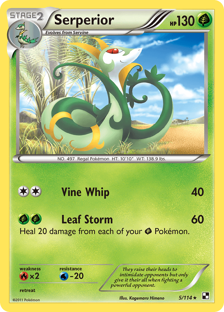 Serperior Black & White