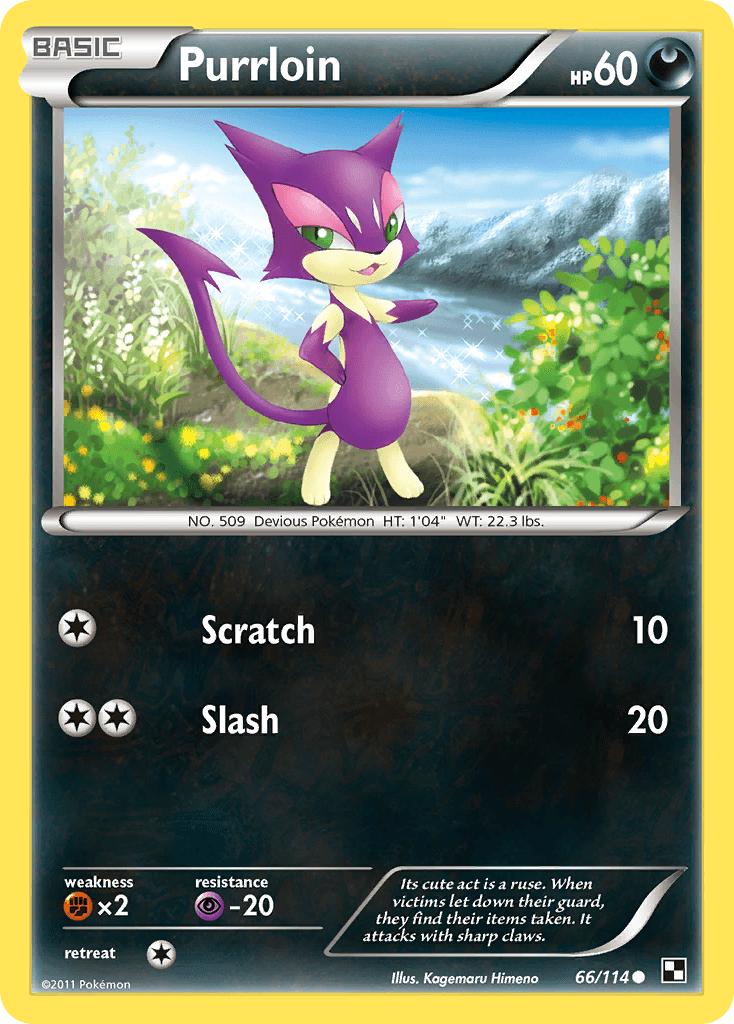 Purrloin Black & White