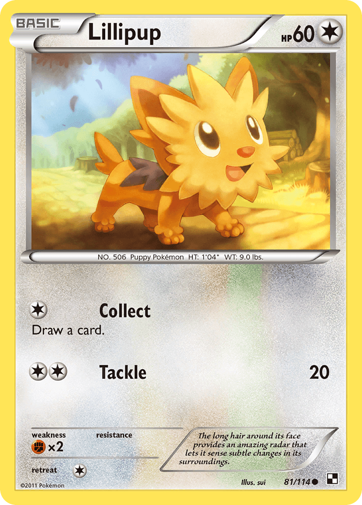 Lillipup Black & White