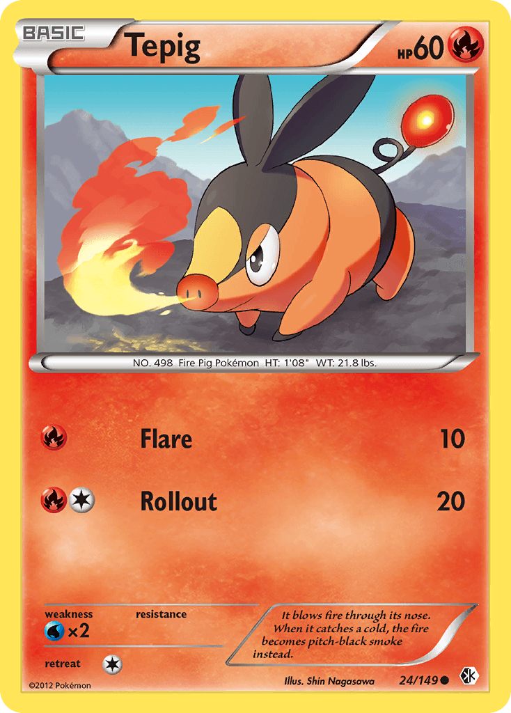 Tepig Boundaries Crossed