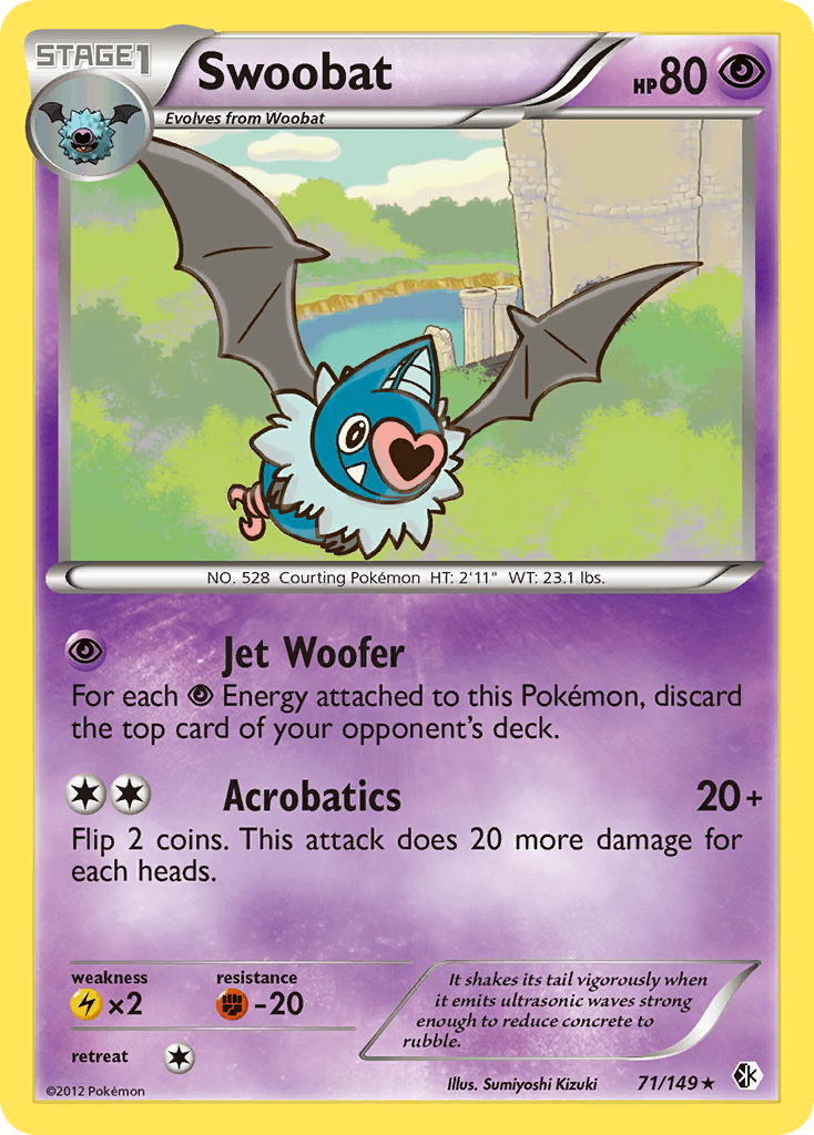 Swoobat Boundaries Crossed