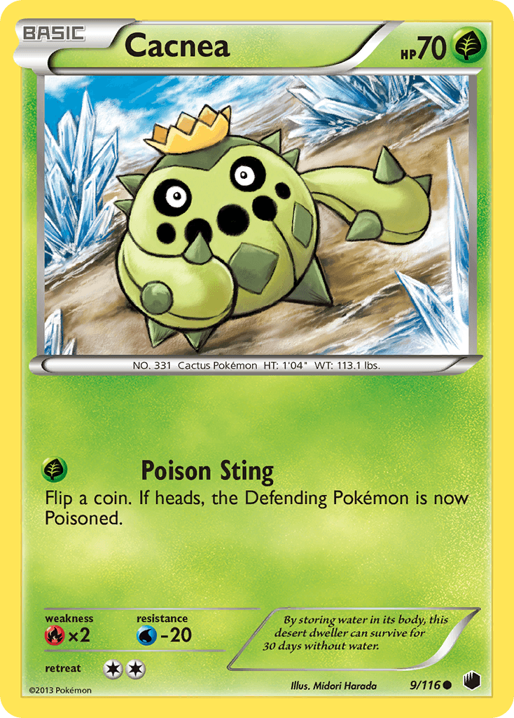 Cacnea Plasma Freeze