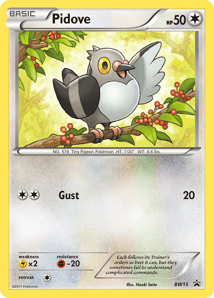 Pidove BW Black Star Promos