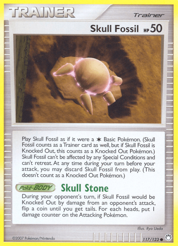 Skull Fossil Mysterious Treasures