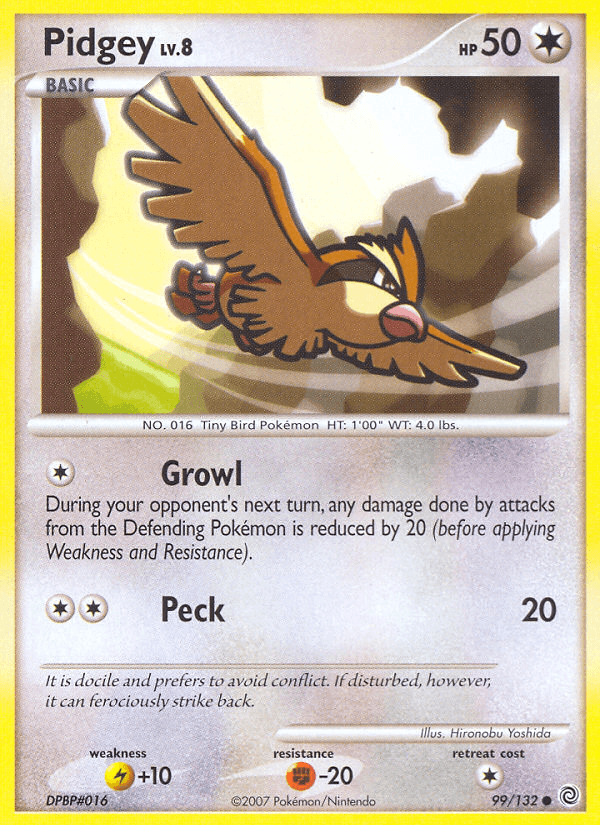 Pidgey Secret Wonders