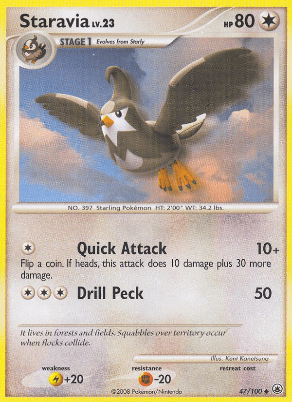 Staravia Majestic Dawn