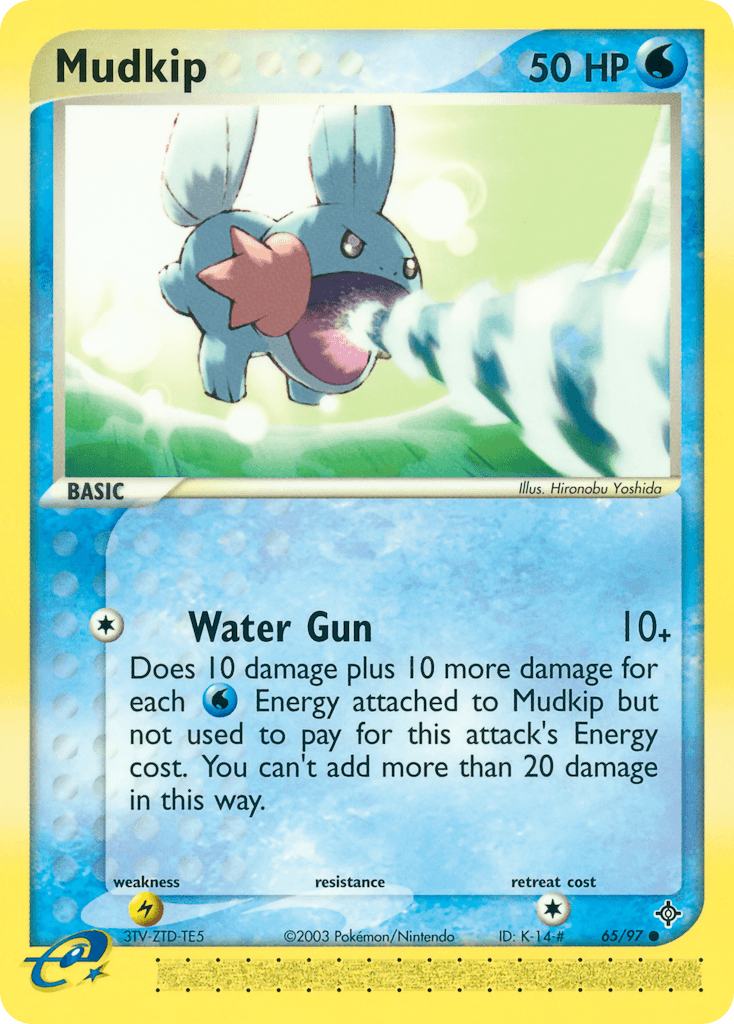 Mudkip Dragon