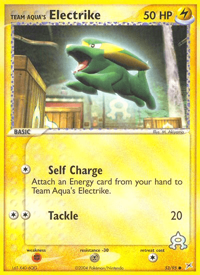 Team Aqua's Electrike Team Magma vs Team Aqua