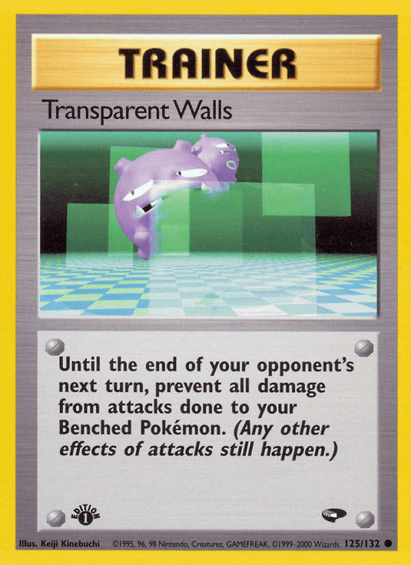 Transparent Walls Gym Challenge
