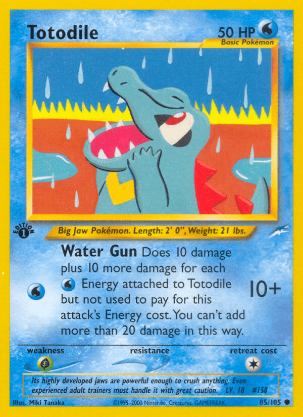 Totodile Neo Destiny