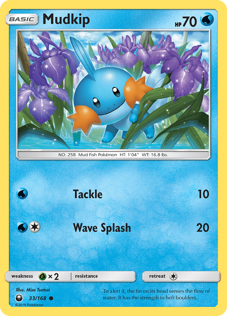 Mudkip Celestial Storm