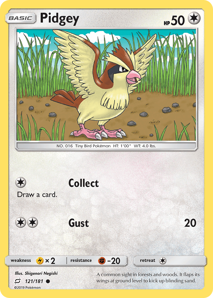 Pidgey Team Up