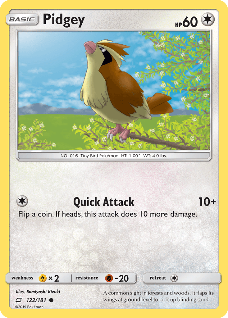 Pidgey Team Up