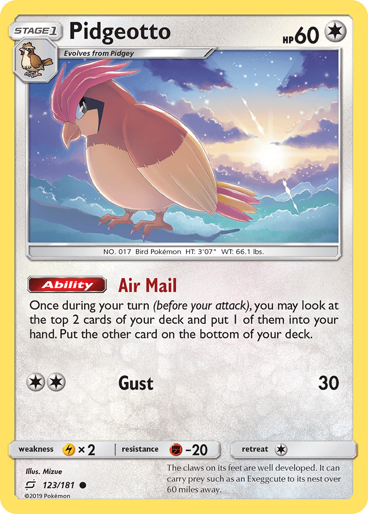 Pidgeotto Team Up
