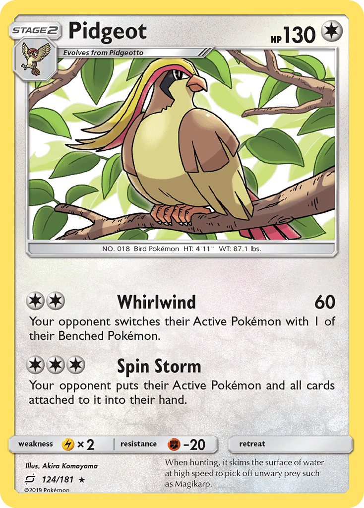 Pidgeot Team Up