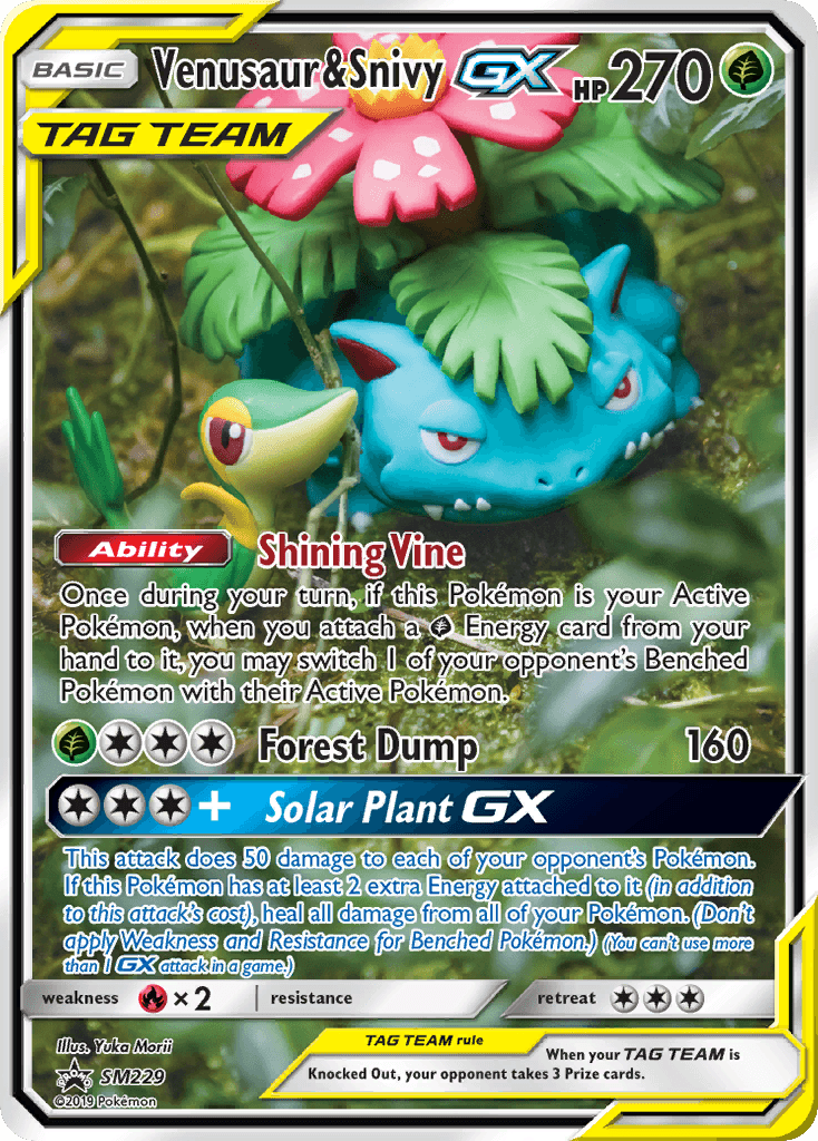 Venusaur & Snivy-GX SM Black Star Promos