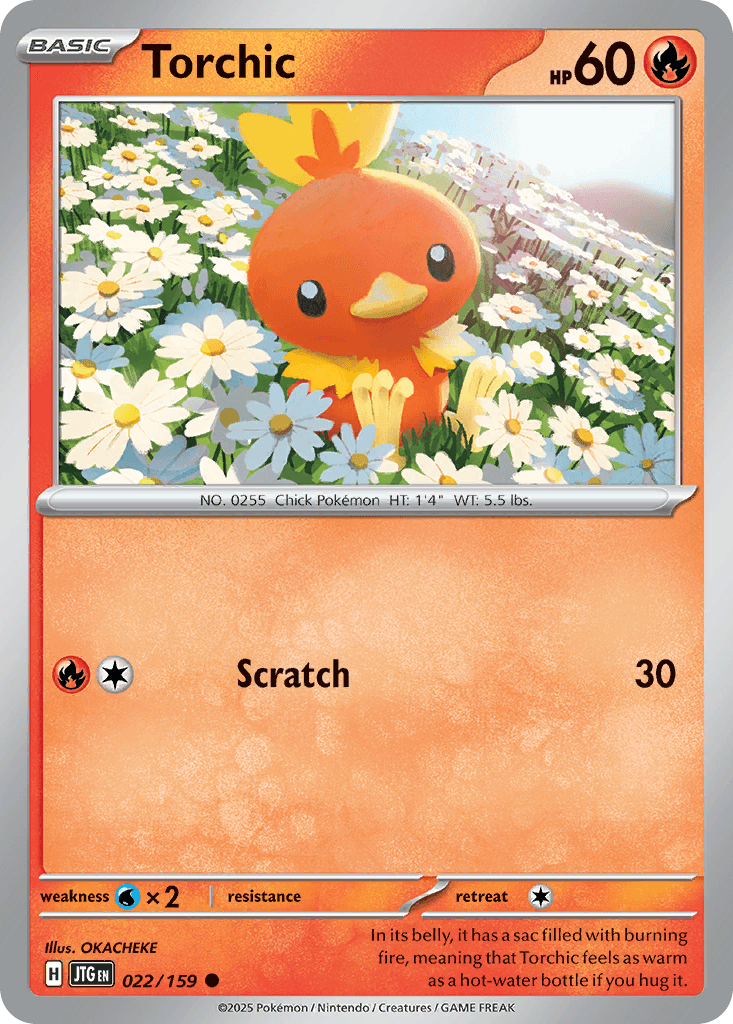 Torchic Journey Together
