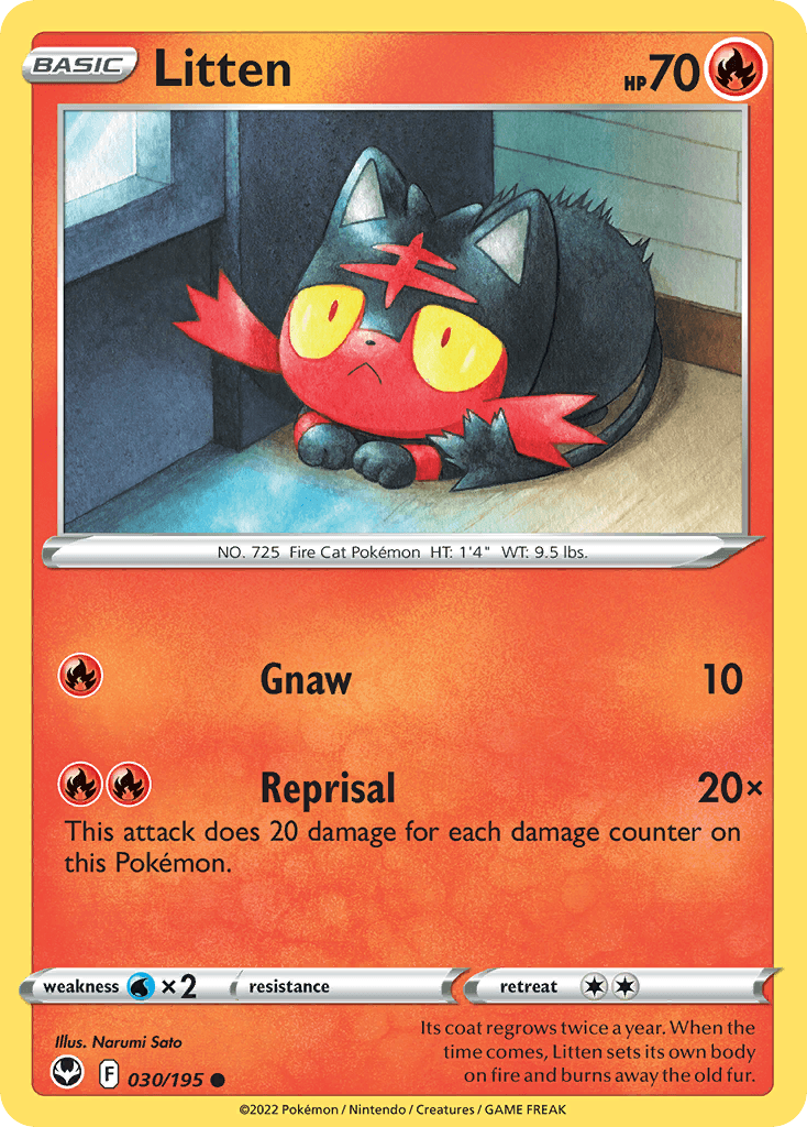 Litten Silver Tempest