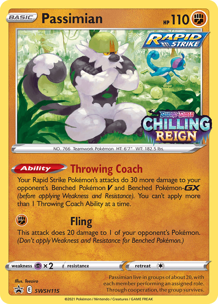 Passimian SWSH Black Star Promos