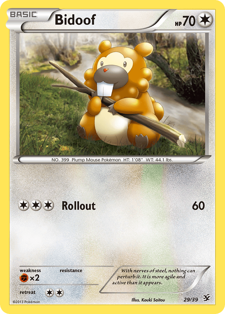 Bidoof Kalos Starter Set