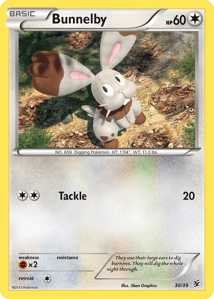 Bunnelby Kalos Starter Set