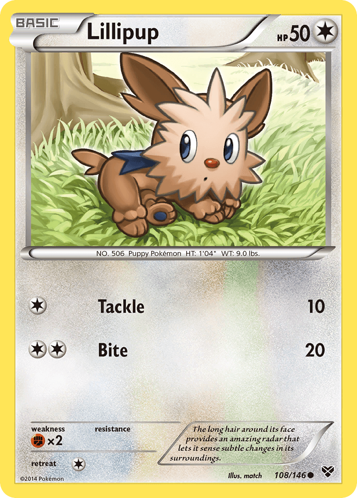 Lillipup XY