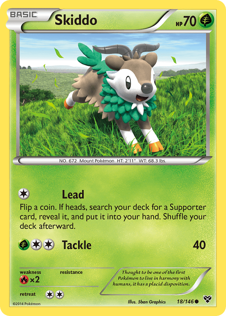Skiddo XY